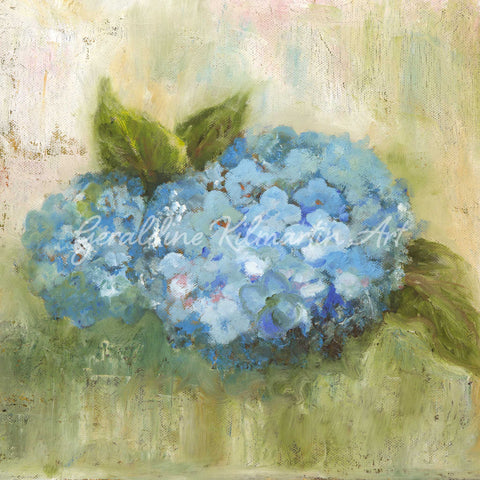 Geraldine_Kilmartin_Art_Blue-Spiddal-Hydrangea-zoom